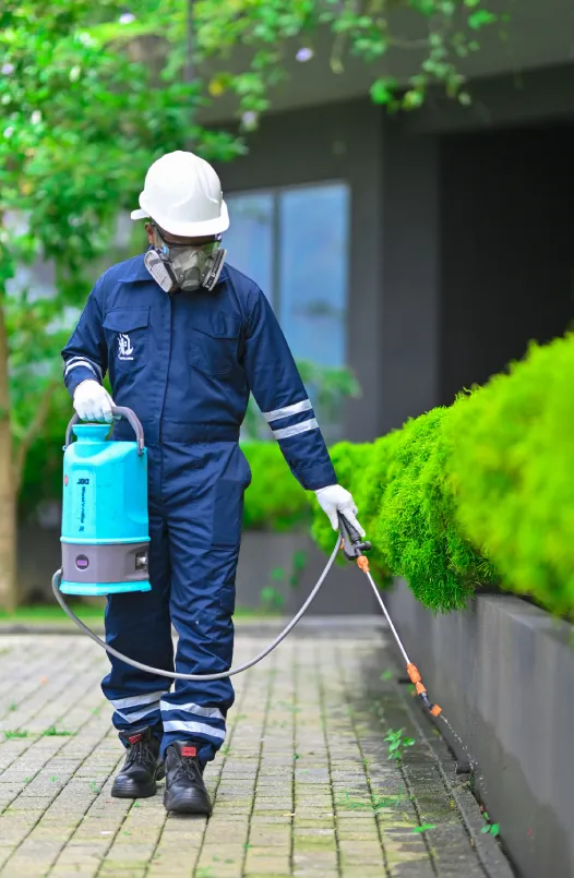 Ant Control Solutions