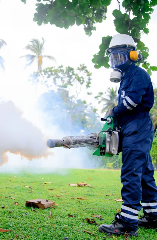 Mosquito Control