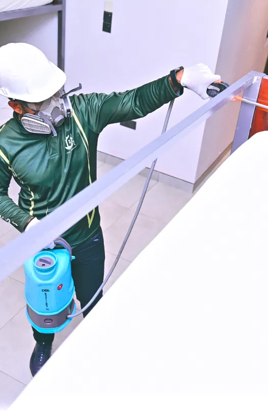 Bed Bug Control